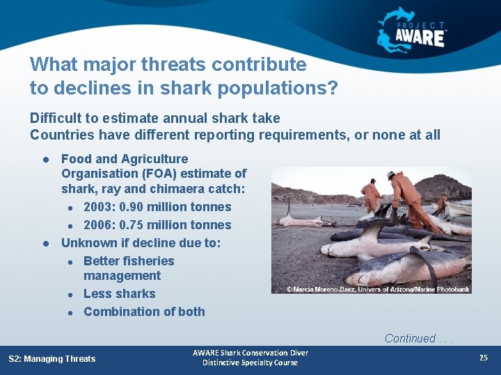 What major threats contribute to declines in shark populations? Difficult to estimate annual shark