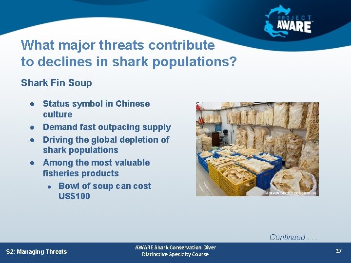 What major threats contribute to declines in shark populations? Shark Fin Soup l l