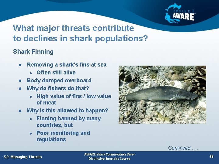 What major threats contribute to declines in shark populations? Shark Finning l l Removing