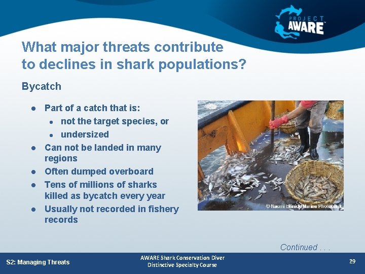 What major threats contribute to declines in shark populations? Bycatch l l l Part