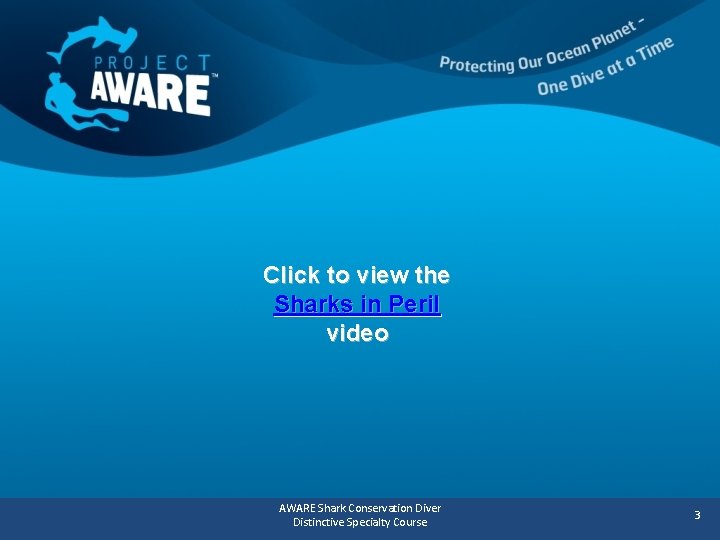 Click to view the Sharks in Peril video AWARE Shark Conservation Diver Distinctive Specialty