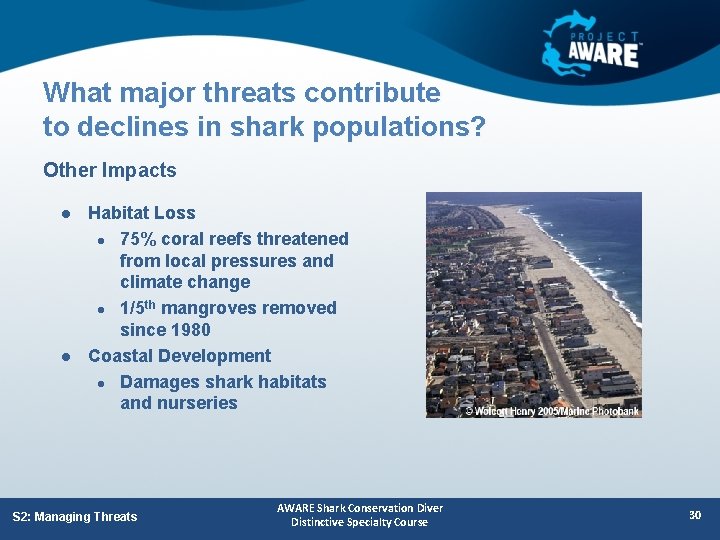 What major threats contribute to declines in shark populations? Other Impacts l l Habitat