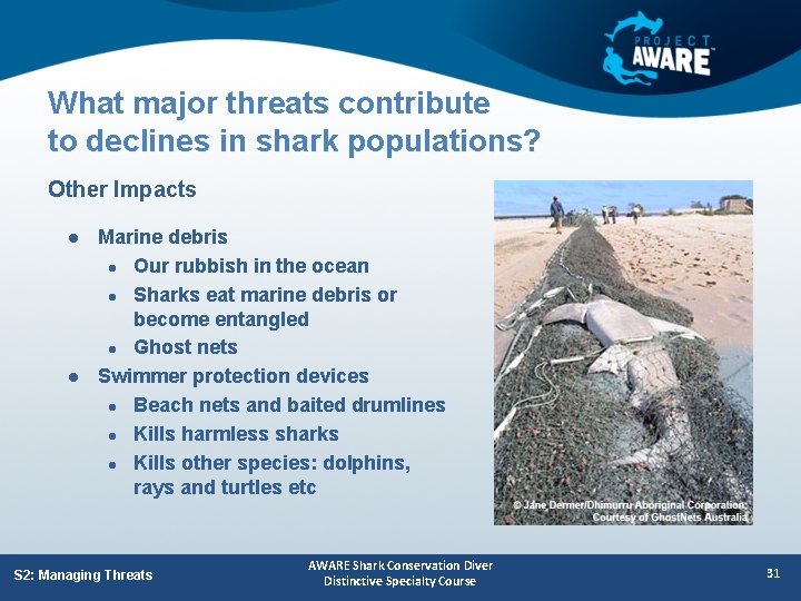 What major threats contribute to declines in shark populations? Other Impacts l l Marine