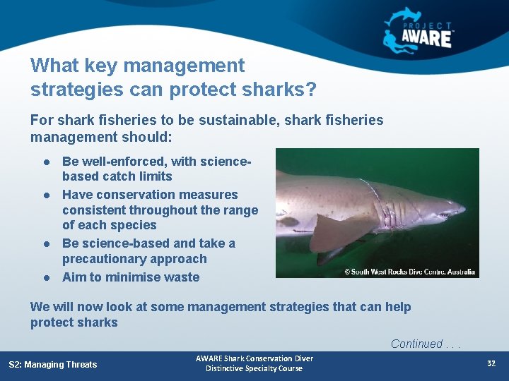 What key management strategies can protect sharks? For shark fisheries to be sustainable, shark