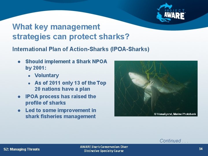 What key management strategies can protect sharks? International Plan of Action-Sharks (IPOA-Sharks) l l