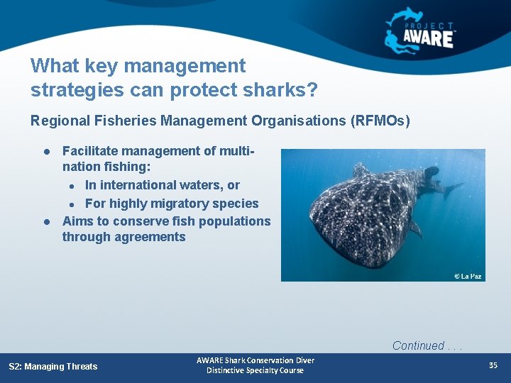 What key management strategies can protect sharks? Regional Fisheries Management Organisations (RFMOs) l l