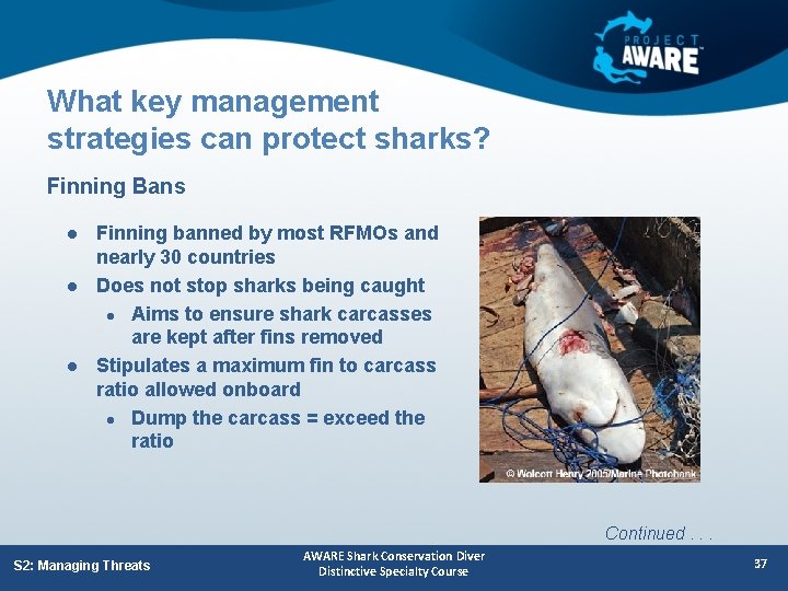 What key management strategies can protect sharks? Finning Bans l l l Finning banned