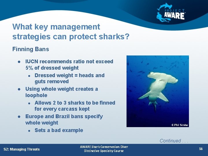 What key management strategies can protect sharks? Finning Bans l l l IUCN recommends