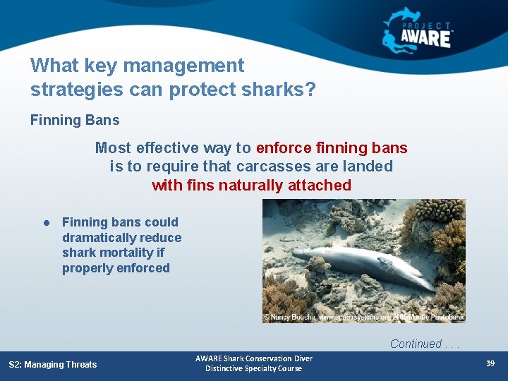 What key management strategies can protect sharks? Finning Bans Most effective way to enforce