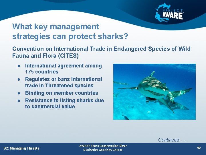 What key management strategies can protect sharks? Convention on International Trade in Endangered Species