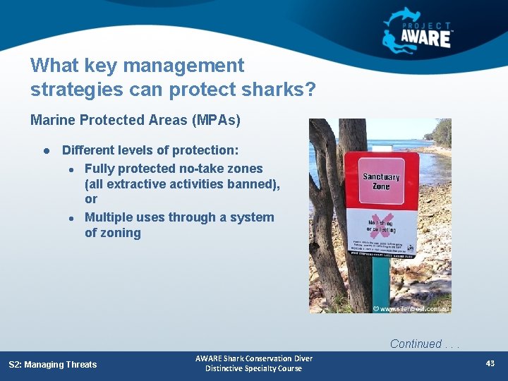 What key management strategies can protect sharks? Marine Protected Areas (MPAs) l Different levels