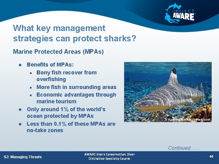 What key management strategies can protect sharks? Marine Protected Areas (MPAs) l l l