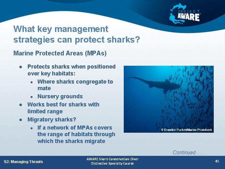 What key management strategies can protect sharks? Marine Protected Areas (MPAs) l l l