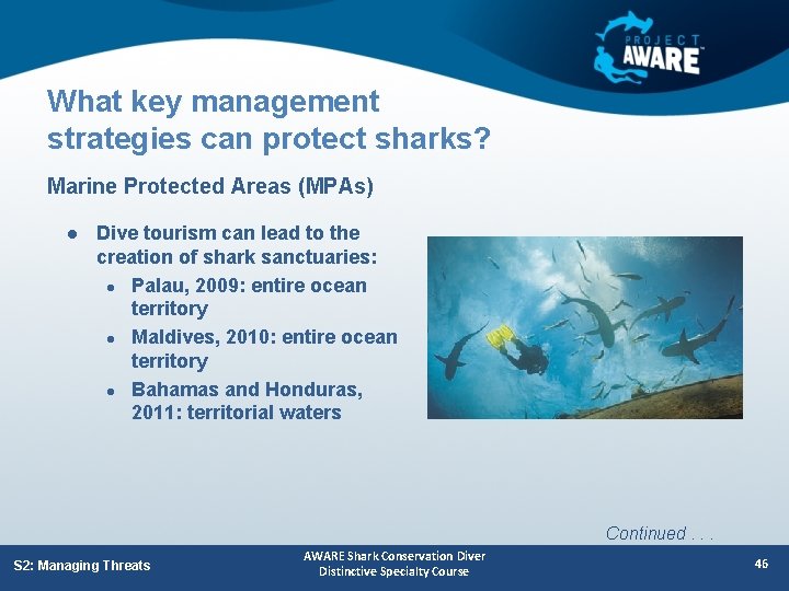 What key management strategies can protect sharks? Marine Protected Areas (MPAs) l Dive tourism