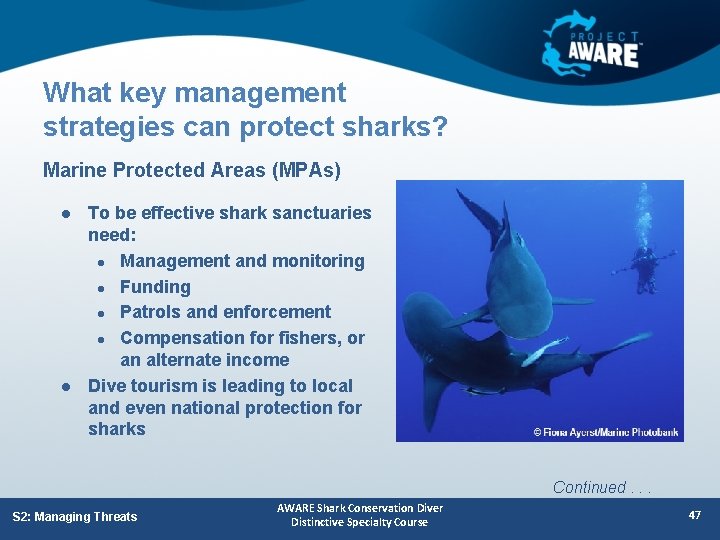 What key management strategies can protect sharks? Marine Protected Areas (MPAs) l l To