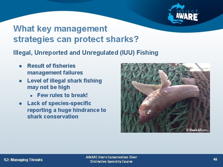 What key management strategies can protect sharks? Illegal, Unreported and Unregulated (IUU) Fishing l