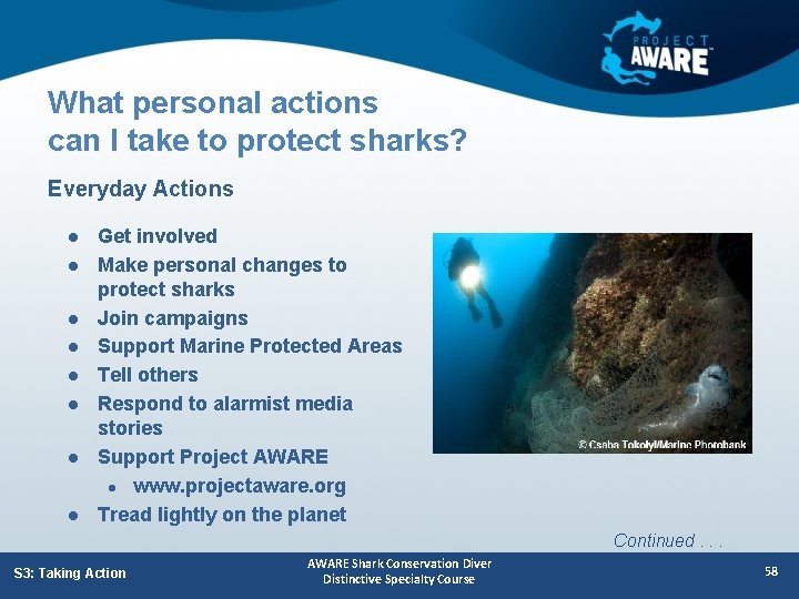 What personal actions can I take to protect sharks? Everyday Actions l l l