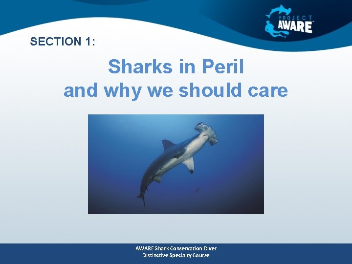 SECTION 1: Sharks in Peril and why we should care AWARE Shark Conservation Diver