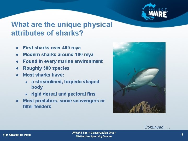 What are the unique physical attributes of sharks? l l l First sharks over