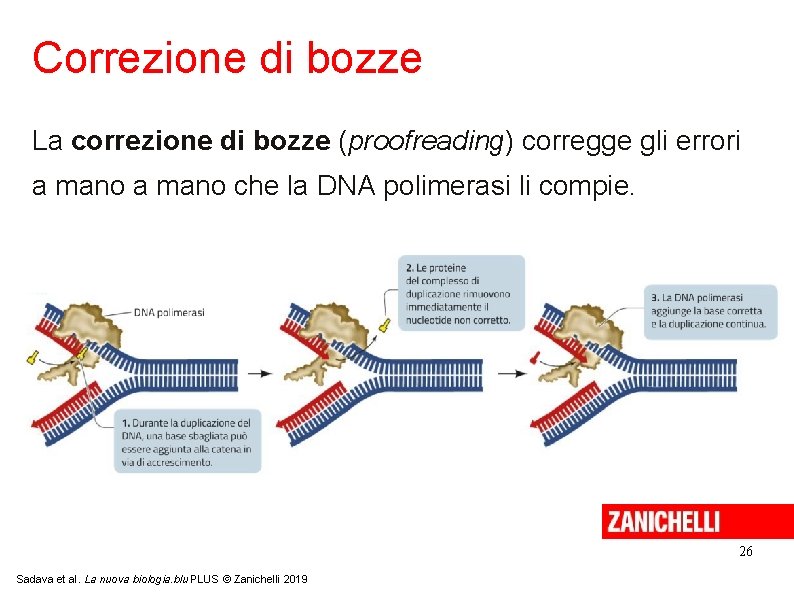 Correzione di bozze La correzione di bozze (proofreading) corregge gli errori a mano che