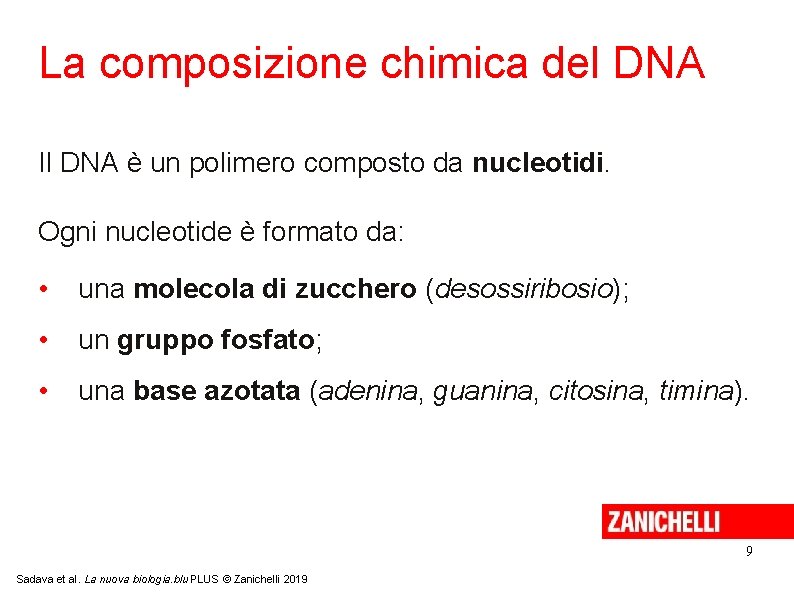 La composizione chimica del DNA Il DNA è un polimero composto da nucleotidi. Ogni