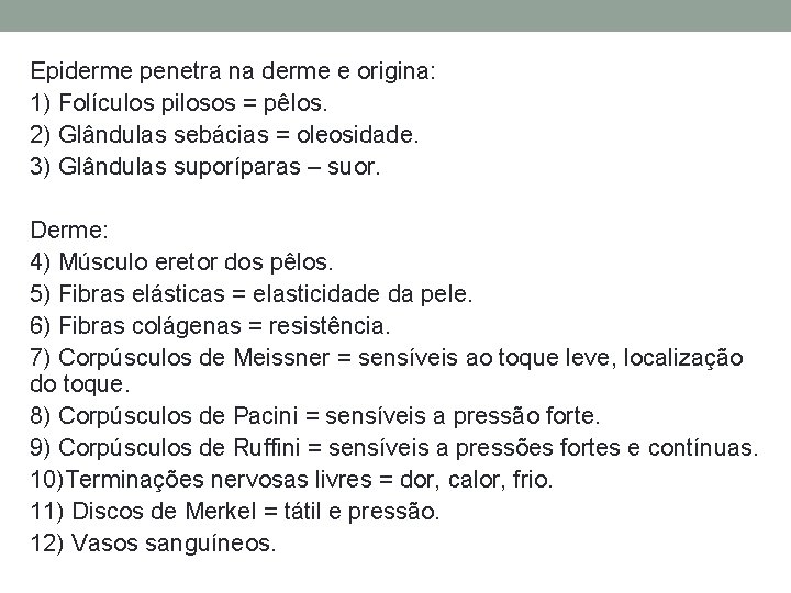 Epiderme penetra na derme e origina: 1) Folículos pilosos = pêlos. 2) Glândulas sebácias