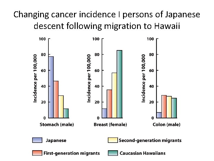 Changing cancer incidence I persons of Japanese descent following migration to Hawaii 