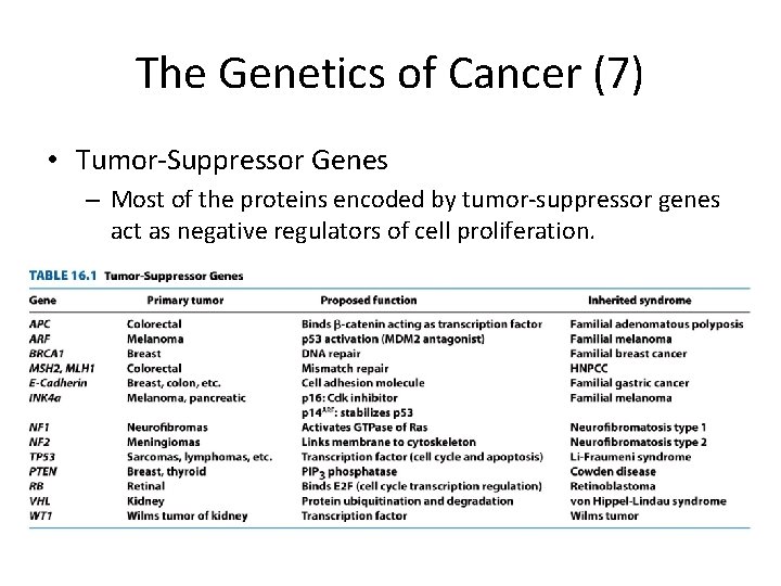 The Genetics of Cancer (7) • Tumor-Suppressor Genes – Most of the proteins encoded