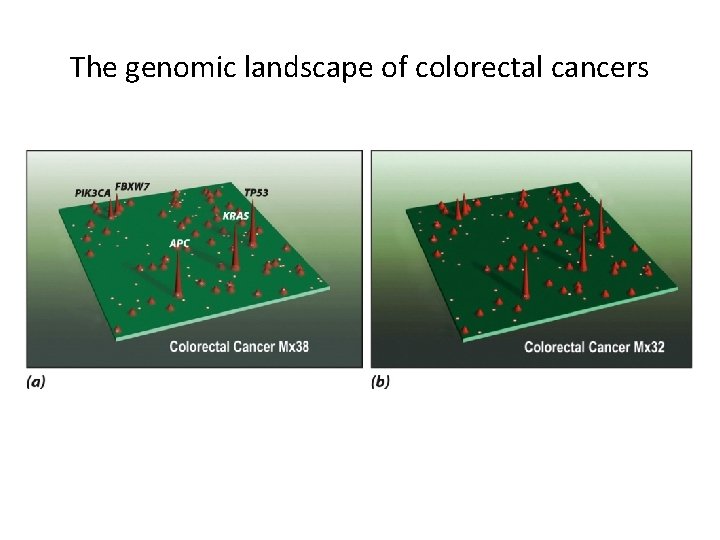 The genomic landscape of colorectal cancers 