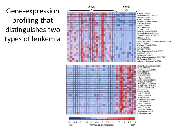 Gene-expression profiling that distinguishes two types of leukemia 