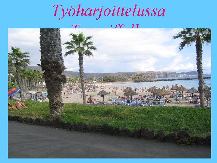 Työharjoittelussa Teneriffalla 