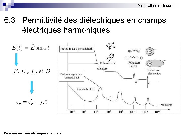 Polarisation électrique 6. 3 Permittivité des diélectriques en champs électriques harmoniques Matériaux du génie