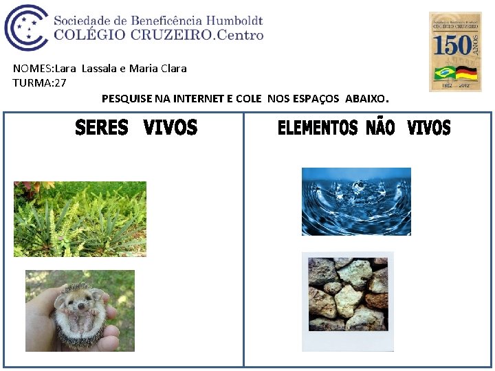 NOMES: Lara Lassala e Maria Clara TURMA: 27 PESQUISE NA INTERNET E COLE NOS