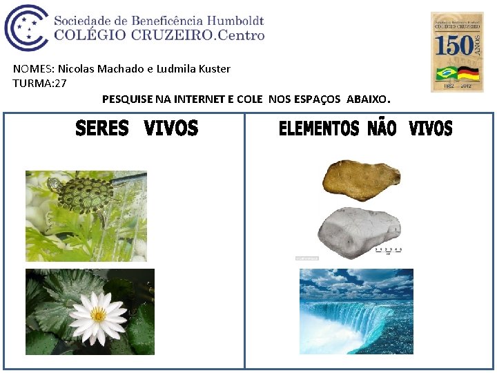 SERES VIVOS E ELEMENTOS NO VIVOS Professoras Luciana