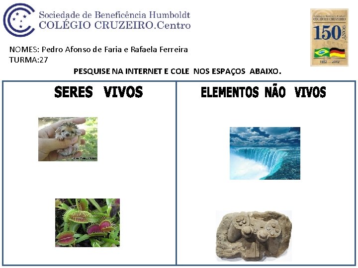 SERES VIVOS E ELEMENTOS NO VIVOS Professoras Luciana
