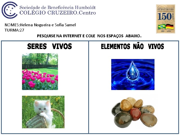 NOMES: Helena Nogueira e Sofia Samel TURMA: 27 PESQUISE NA INTERNET E COLE NOS
