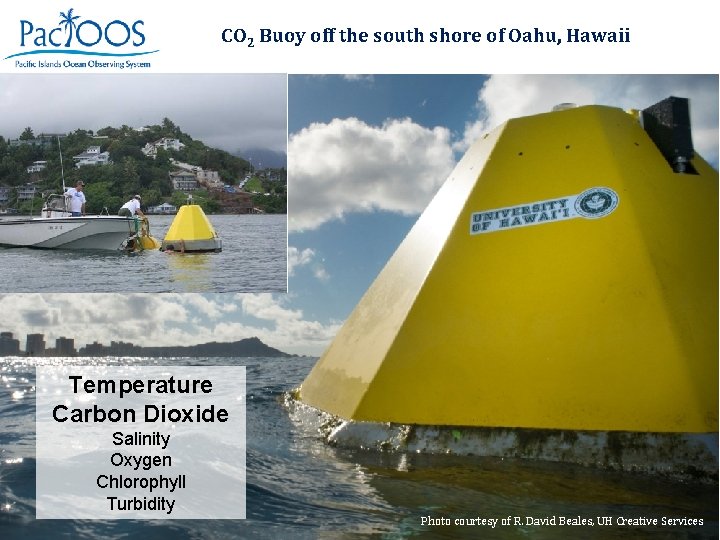 CO 2 Buoy off the south shore of Oahu, Hawaii Temperature Carbon Dioxide Salinity