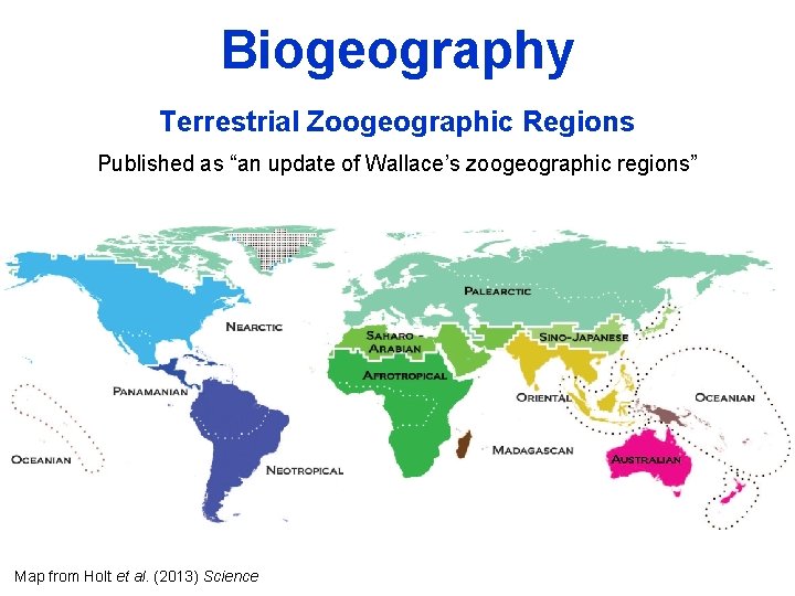 Biogeography Terrestrial Zoogeographic Regions Published as “an update of Wallace’s zoogeographic regions” Map from