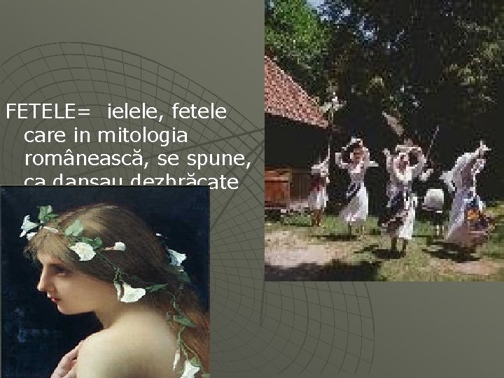 FETELE= ielele, fetele care in mitologia românească, se spune, ca dansau dezbrăcate şi il