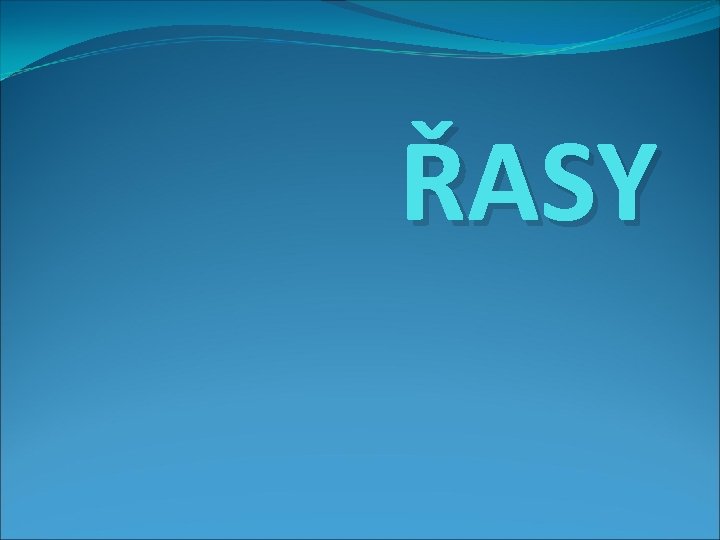 ŘASY 
