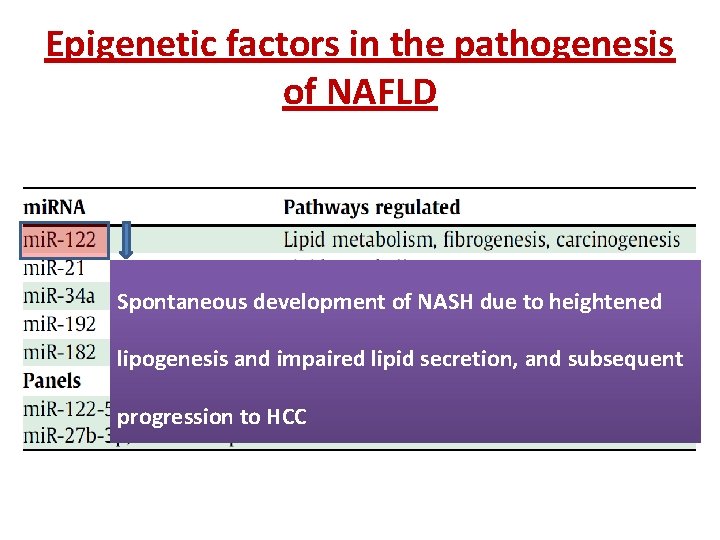 Epigenetic factors in the pathogenesis of NAFLD Spontaneous development of NASH due to heightened