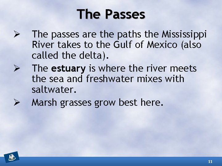 The Passes Ø Ø Ø The passes are the paths the Mississippi River takes
