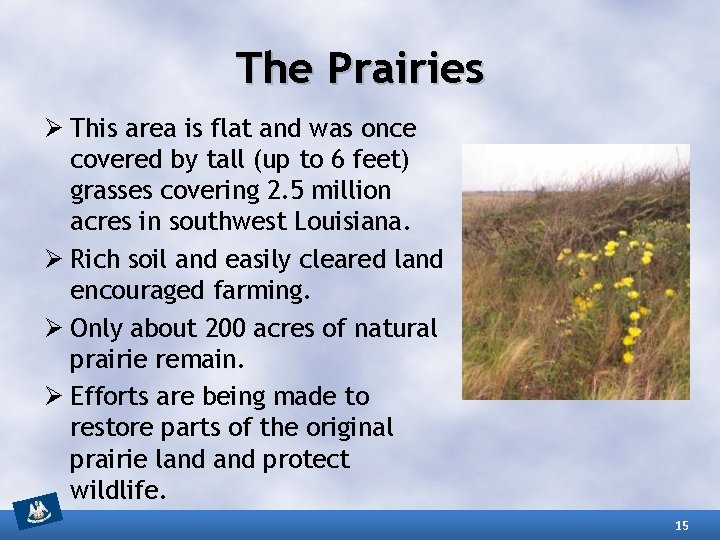 The Prairies Ø This area is flat and was once covered by tall (up