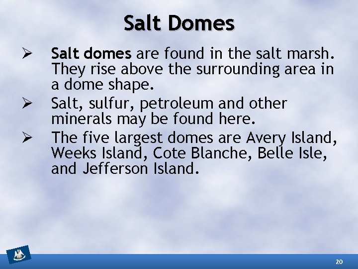 Salt Domes Ø Ø Ø Salt domes are found in the salt marsh. They