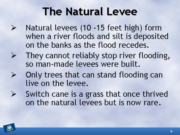 The Natural Levee Ø Ø Natural levees (10 -15 feet high) form when a