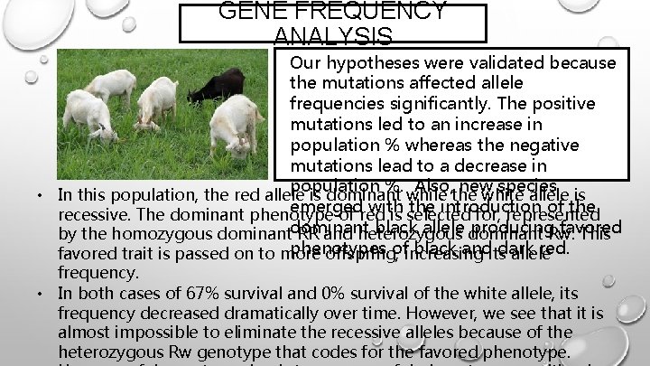 GENE FREQUENCY ANALYSIS Our hypotheses were validated because the mutations affected allele frequencies significantly.