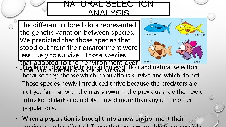 NATURAL SELECTION ANALYSIS The different colored dots represented the genetic variation between species. We