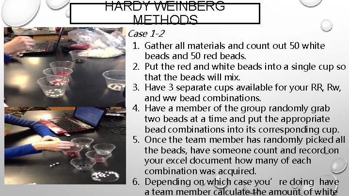 HARDY WEINBERG METHODS Case 1 -2 1. Gather all materials and count out 50