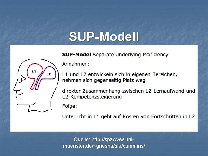 SUP-Modell Quelle: http: //spzwww. unimuenster. de/~griesha/sla/cummins/ 