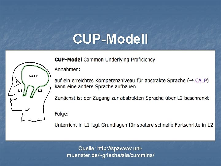 CUP-Modell Quelle: http: //spzwww. unimuenster. de/~griesha/sla/cummins/ 